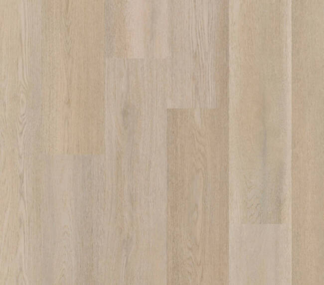 Therdex Lijmstrook Premier Serie 15083