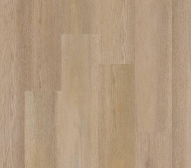 Therdex Lijmstrook Premier Serie 15084