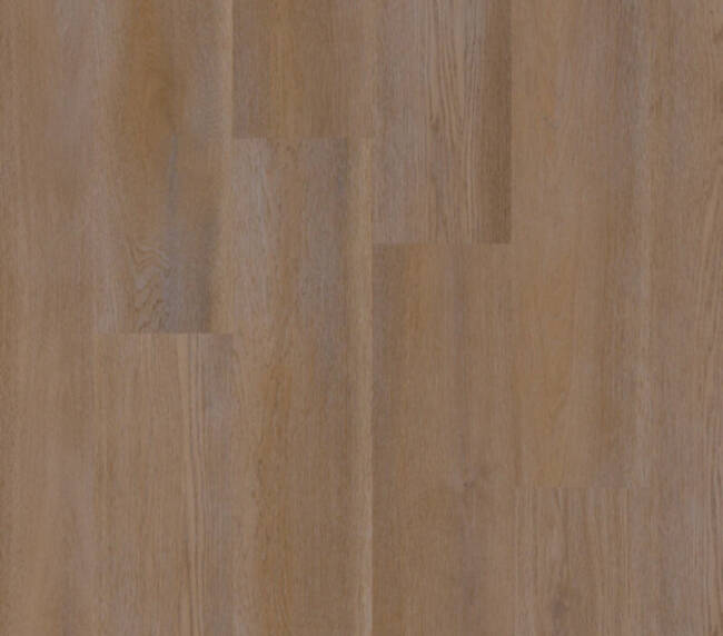 Therdex Lijmstrook Premier Serie 15085