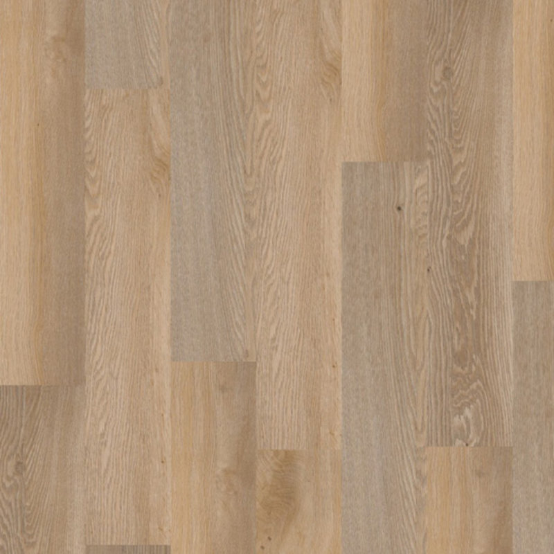 Therdex Lijmstrook Premium Serie 70040